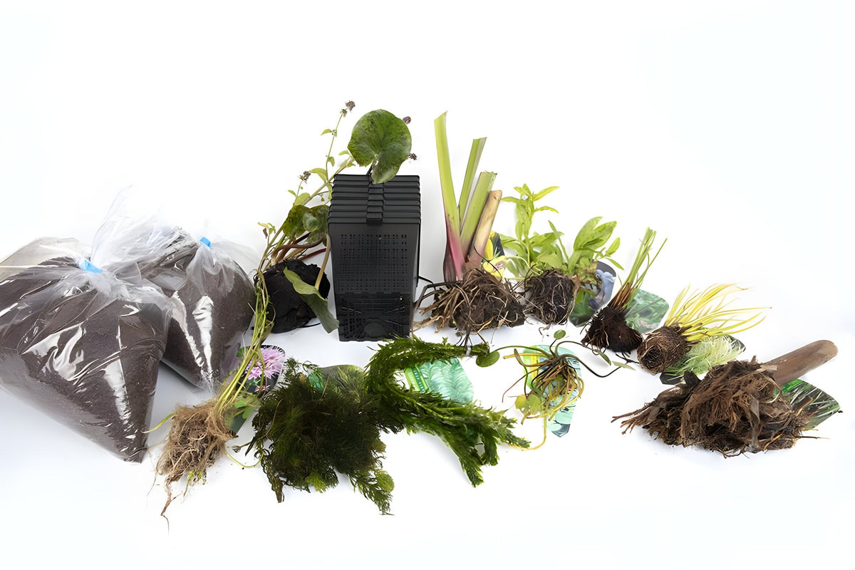 Pond Starter Packs - Pond topup Packs - Oxygenating - Compost and Pots Potted