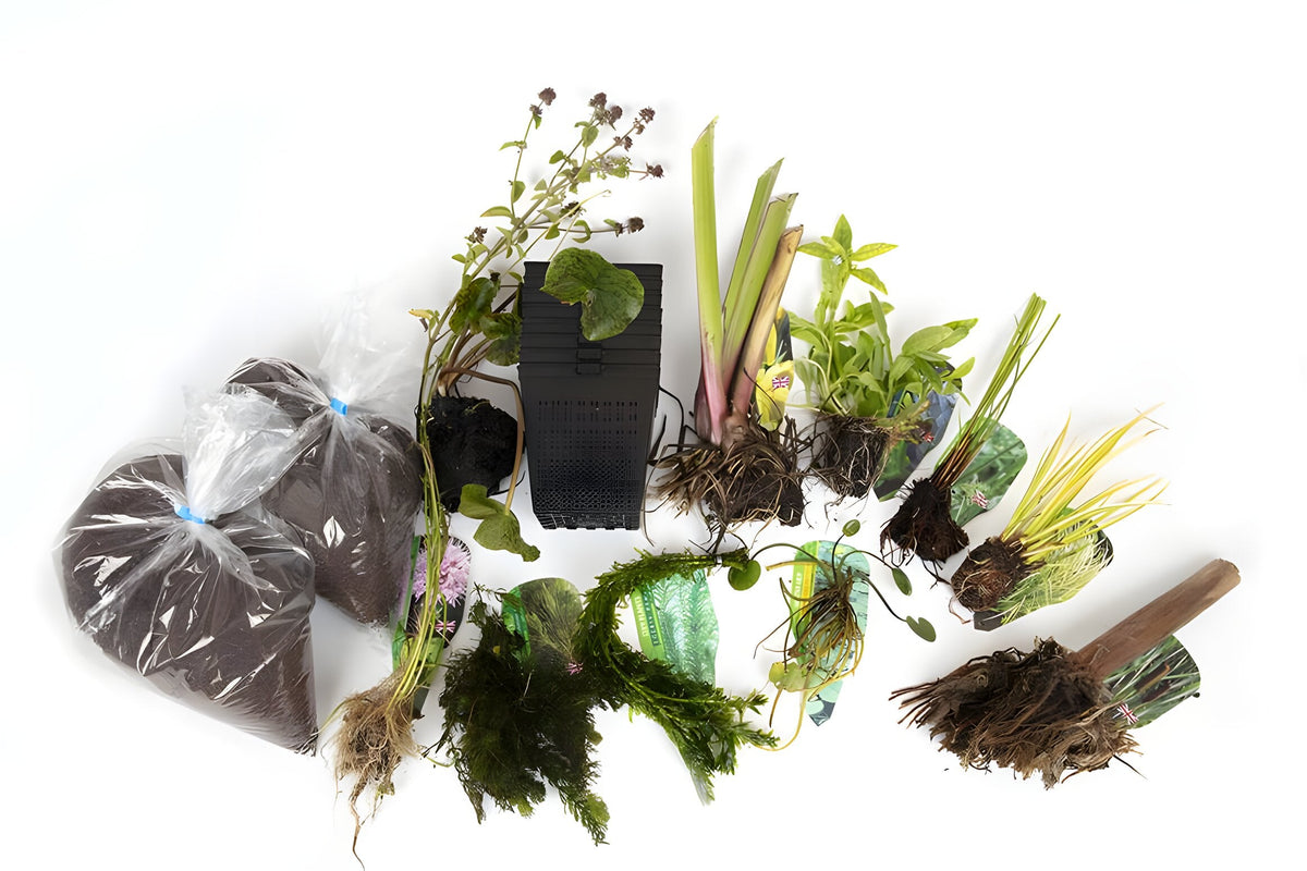 Pond Starter Packs - Pond topup Packs - Oxygenating - Compost and Pots Potted