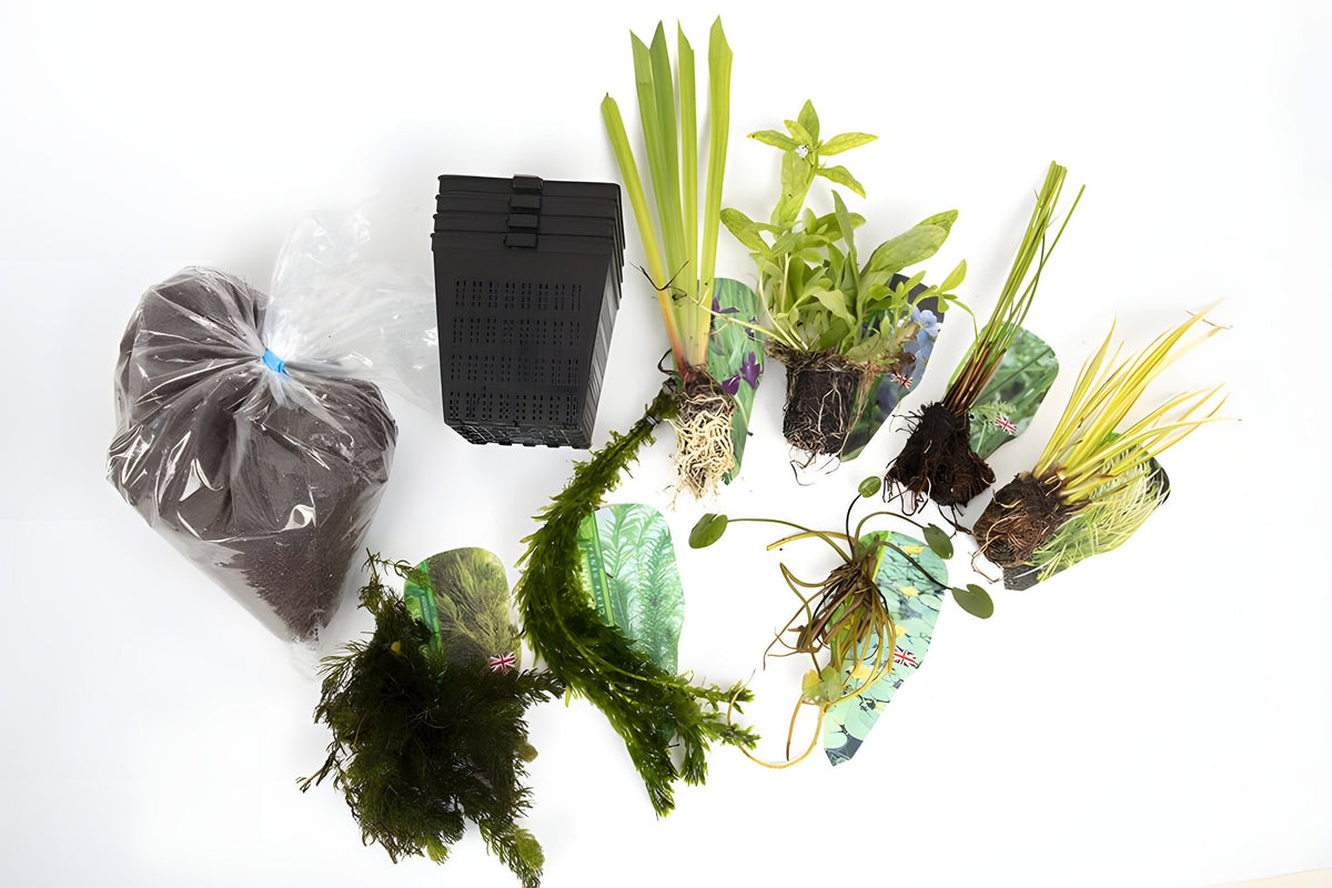 Pond Starter Packs - Pond topup Packs - Oxygenating - Compost and Pots Potted