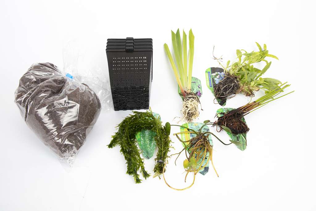 Pond Starter & top up Packs - Oxygenating - Compost and Pots