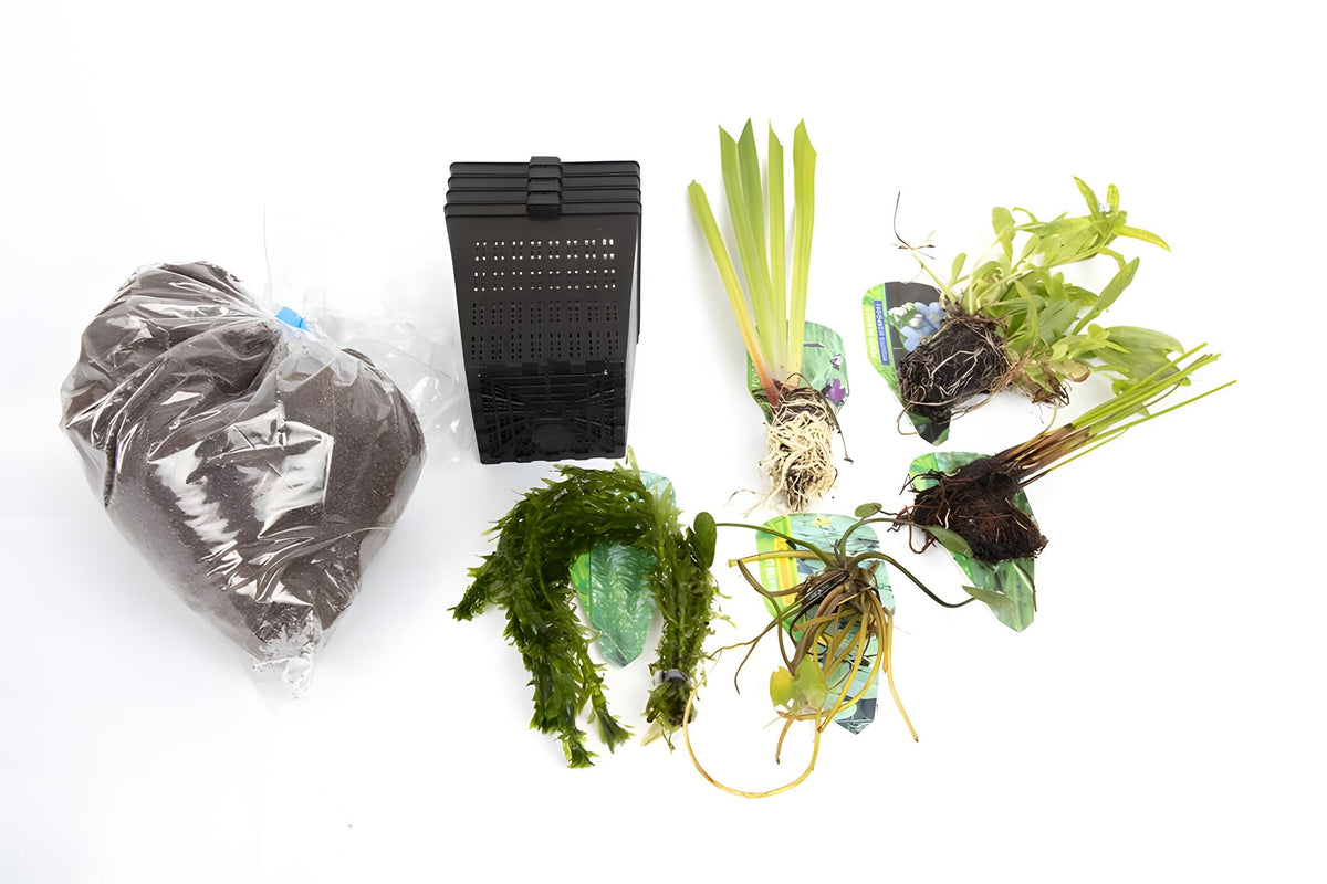 Pond Starter Packs - Pond topup Packs - Oxygenating - Compost and Pots Potted
