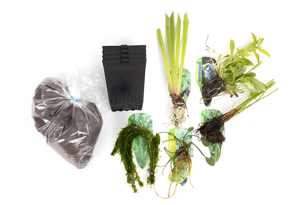 Pond Starter Packs - Pond topup Packs - Oxygenating - Compost and Pots Potted