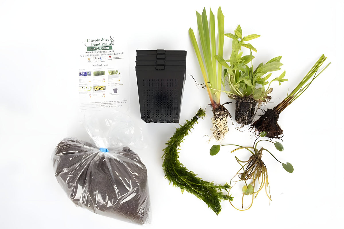 Pond Starter Packs - Pond topup Packs - Oxygenating - Compost and Pots Potted
