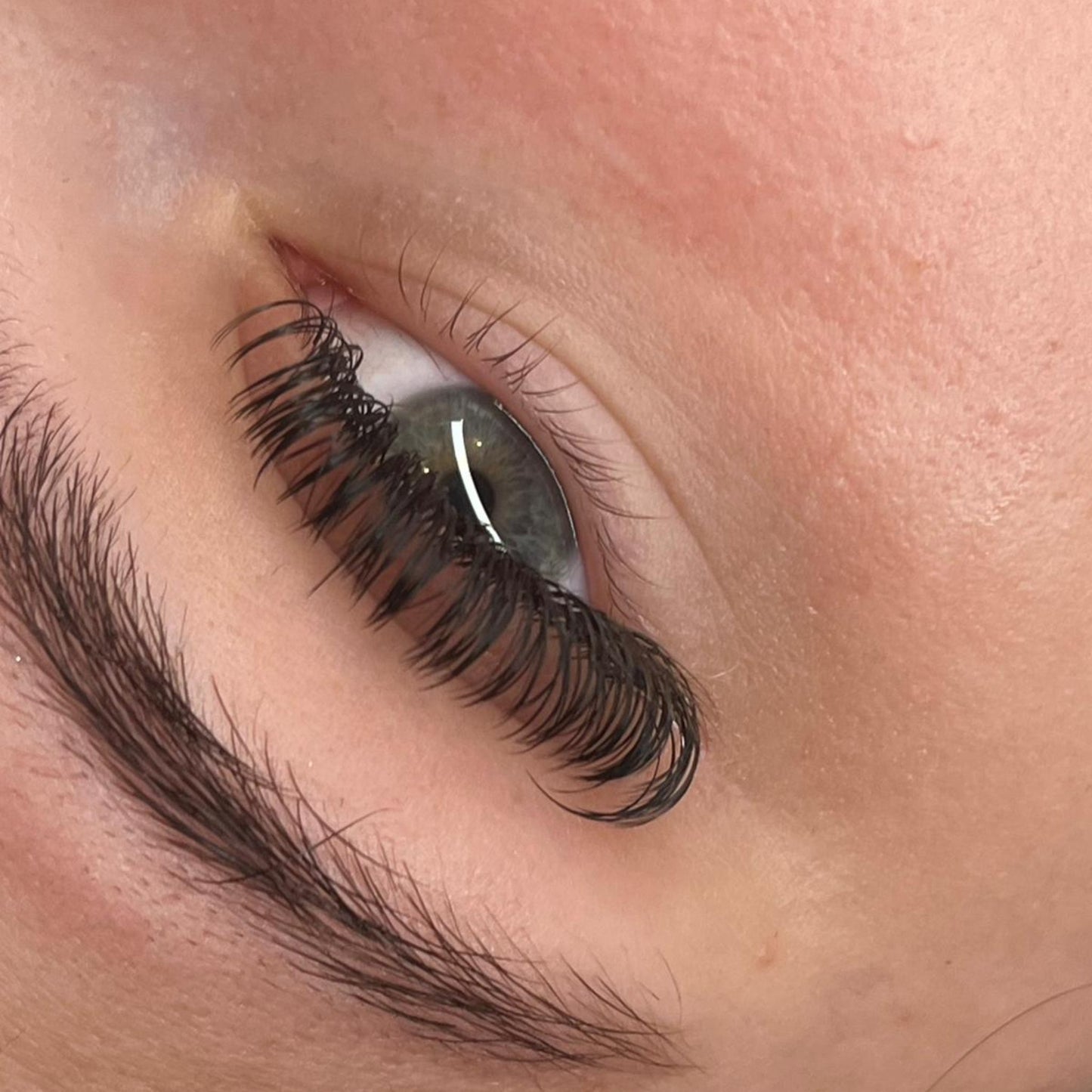 Premade Angel Lashes – 5D Closed Fans | 5 Row Tray