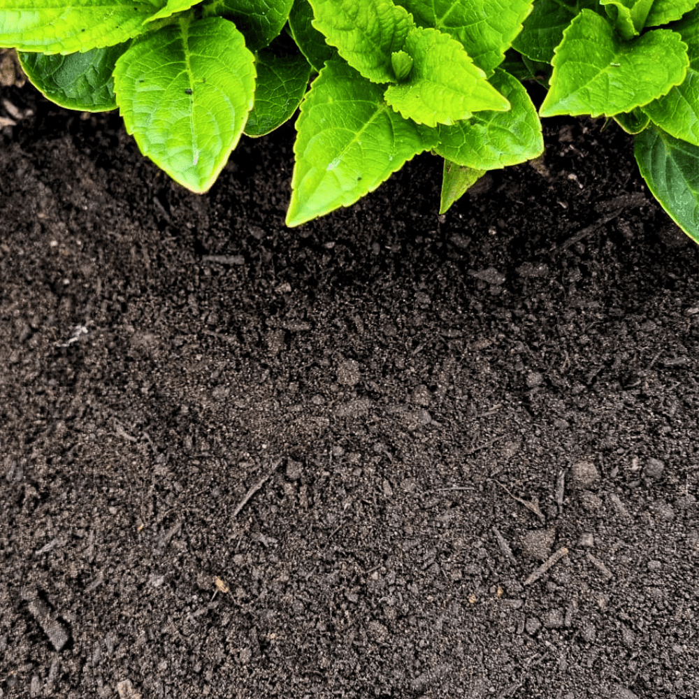 Premium Multi Purpose Compost 0 - 10mm