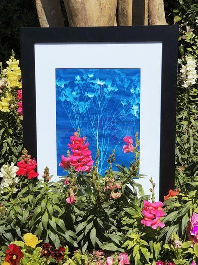 20 Large Sheets of Nature Print/Cyanotype Paper (11" x 17")