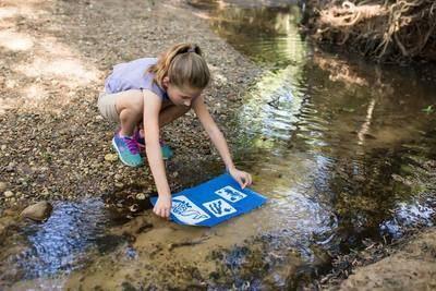 20 Large Sheets of Nature Print/Cyanotype Paper (11" x 17")