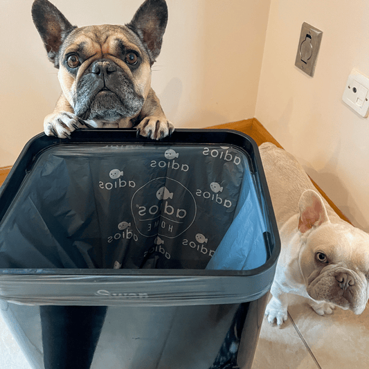 🛍️ Compostable Bin Liners with Handles – 30L - Roll of 20 bags 🌿