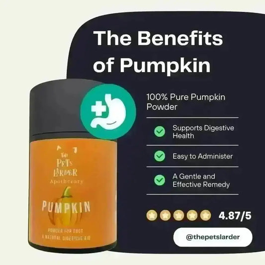 Pumpkin Powder for Dogs: Digestion Aid