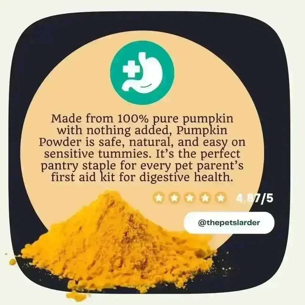 Pumpkin Powder for Dogs: Digestion Aid