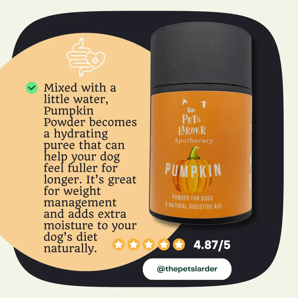 Pumpkin Powder for Dogs: Digestion Aid