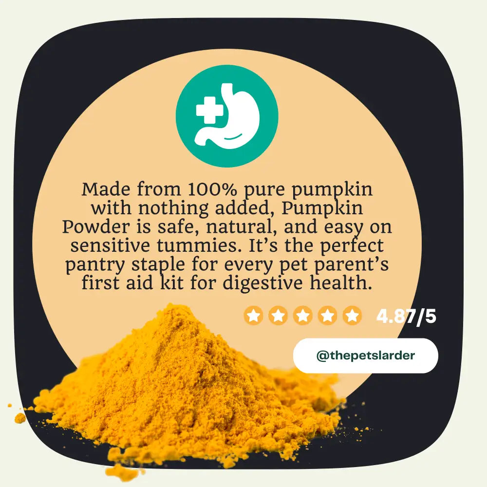 Pumpkin Powder for Dogs: Digestion Aid