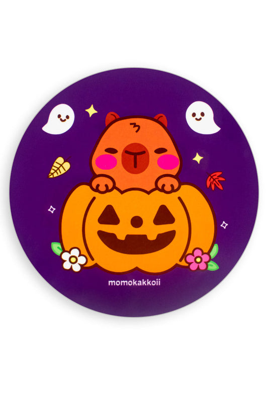Pumpkin Theo The Capybara Coaster