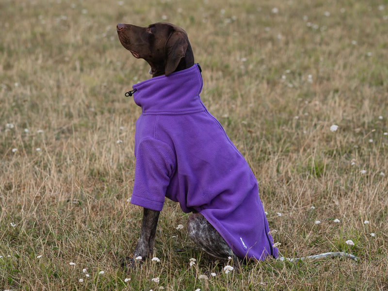 Fleece Dog Jumper - Purple