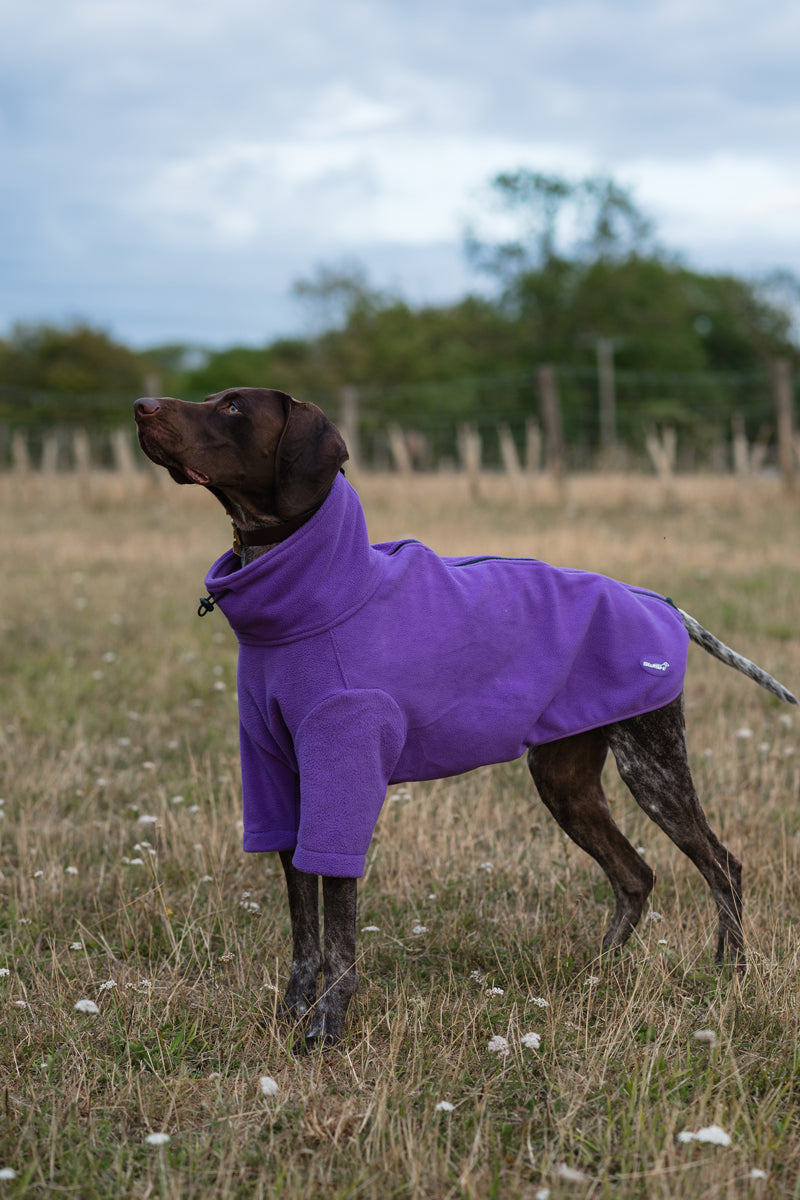 Fleece Dog Jumper - Purple