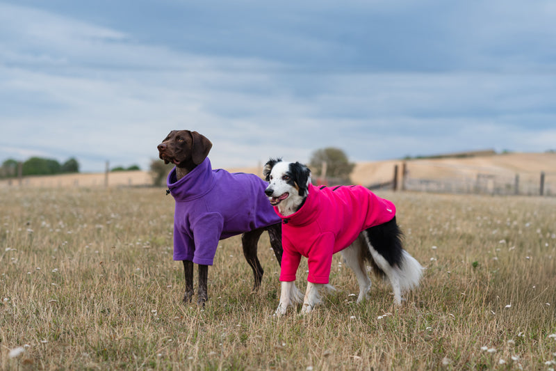 Fleece Dog Jumper - Purple