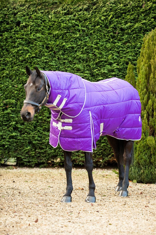 200g Stable Rug With Detachable Neck - Purple