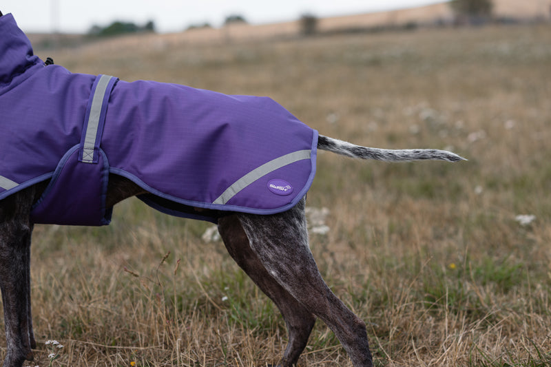 Luxe Waterproof Dog Coat 250g - Purple