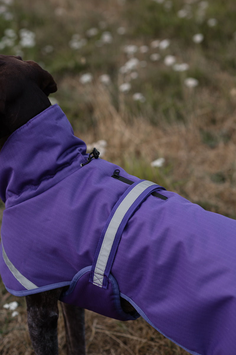 Luxe Waterproof Dog Coat 250g - Purple