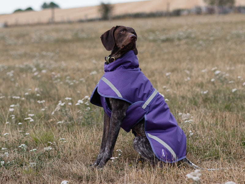 Luxe Waterproof Dog Coat 0g - Purple