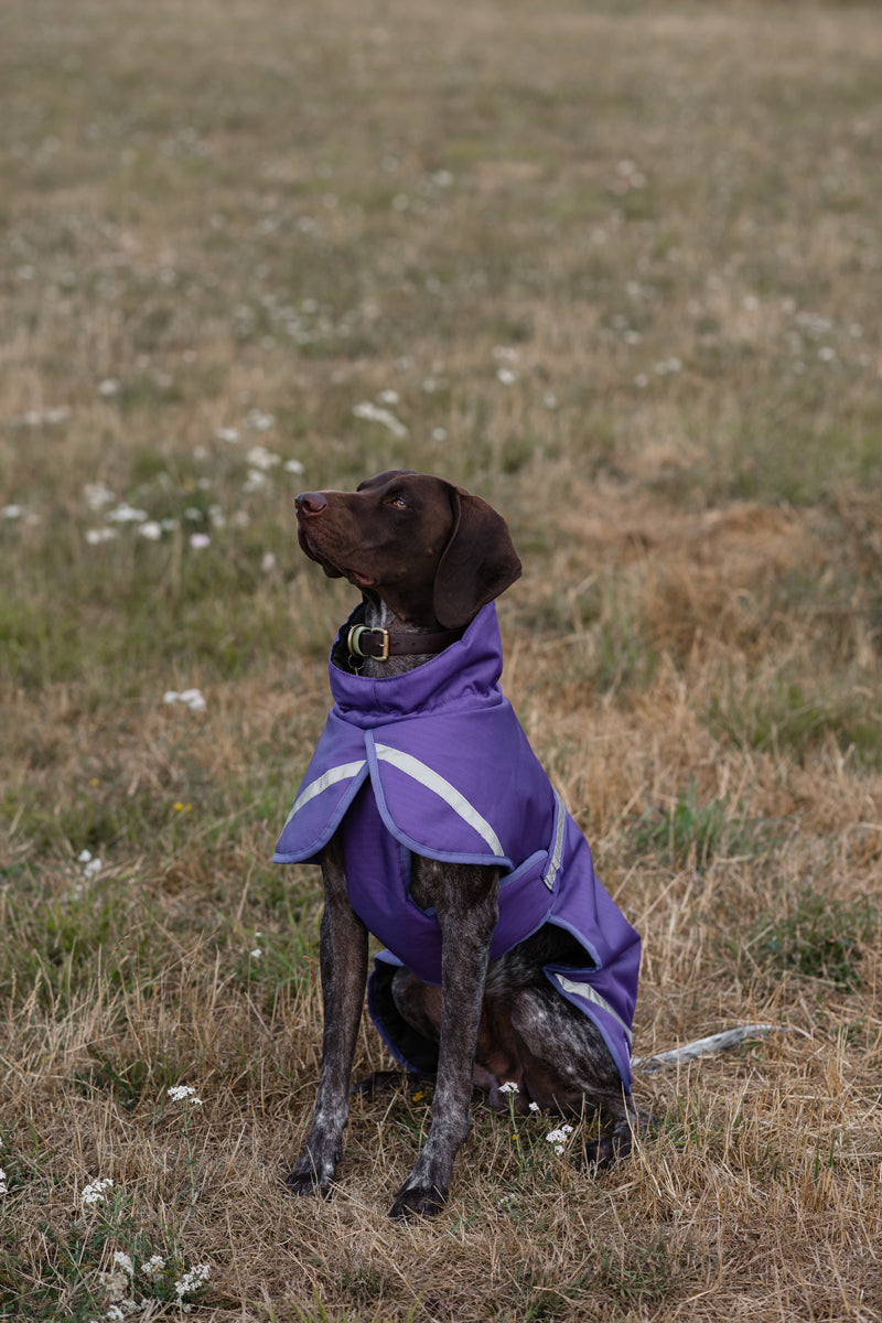 Luxe Waterproof Dog Coat 250g - Purple