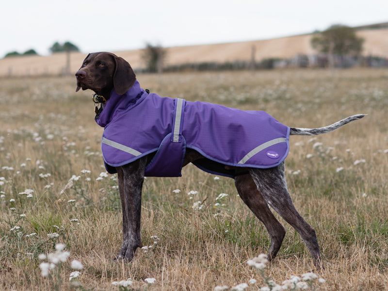 Luxe Waterproof Dog Coat 250g - Purple