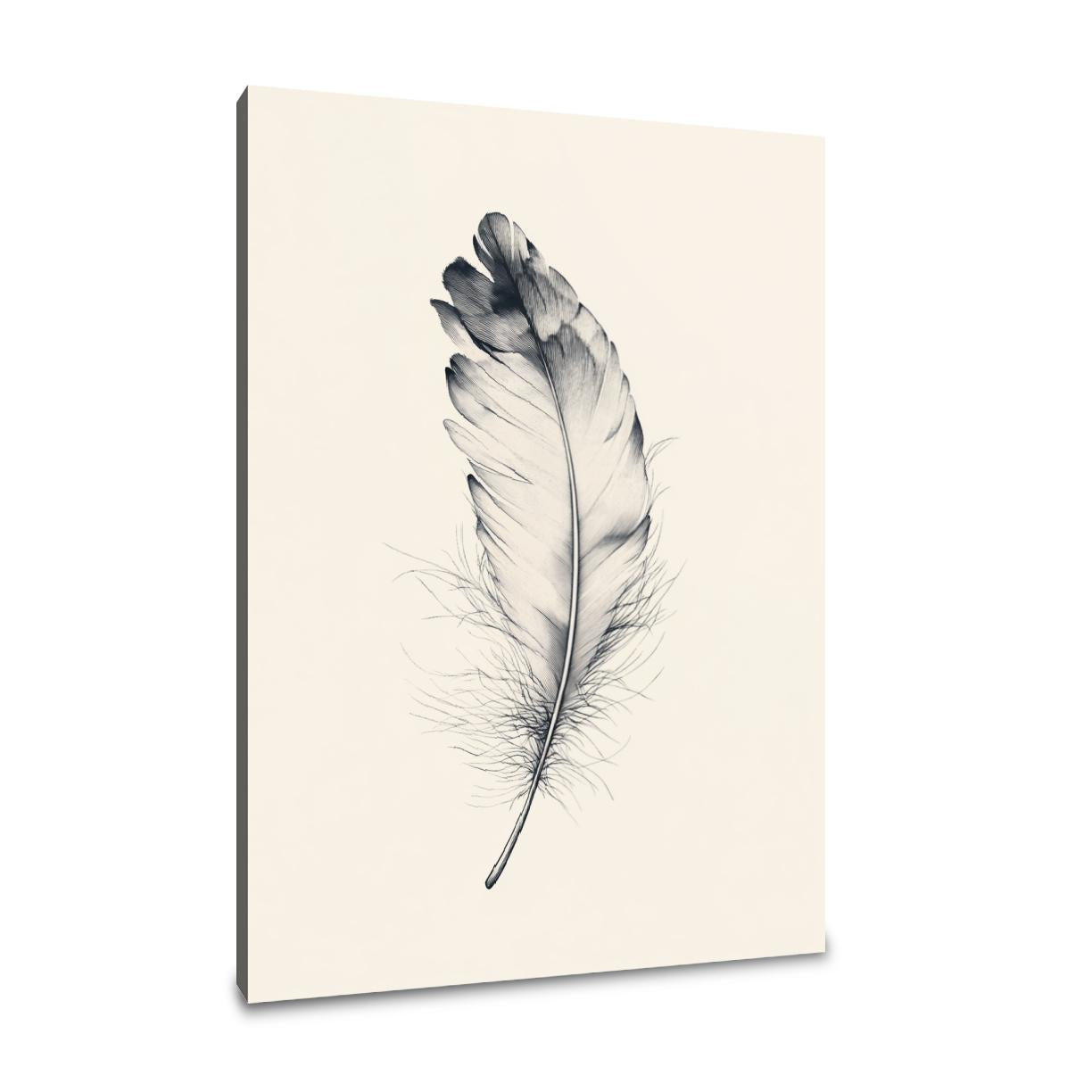 Ethereal Feather Canvas