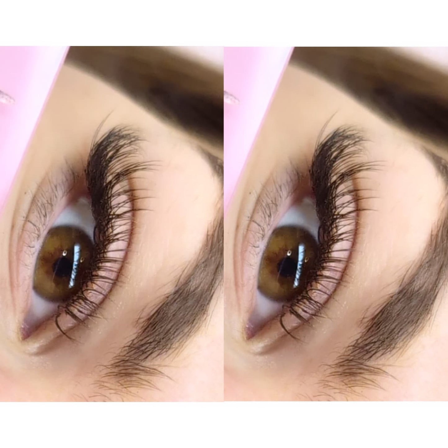 Brown Cashmere Flat Classic Lashes – Mixed Tray