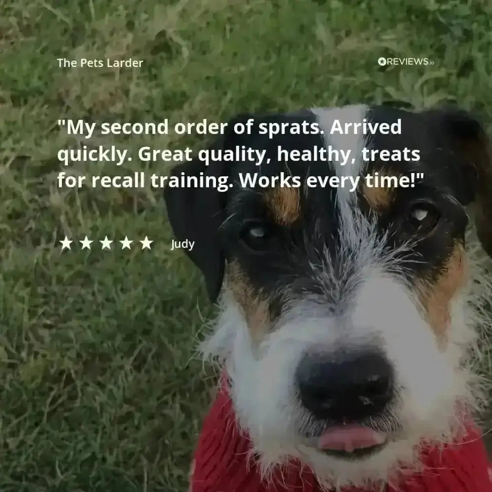 Rabbit Ear with Fur Natural Meat Chew For Dogs