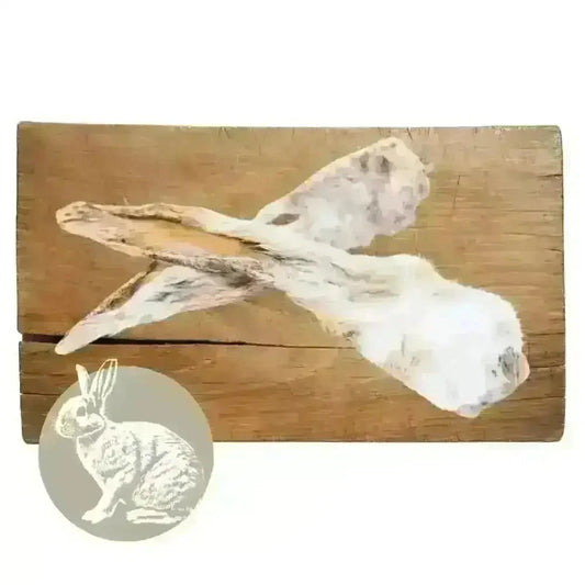 Rabbit Ear with Fur Natural Meat Chew For Dogs