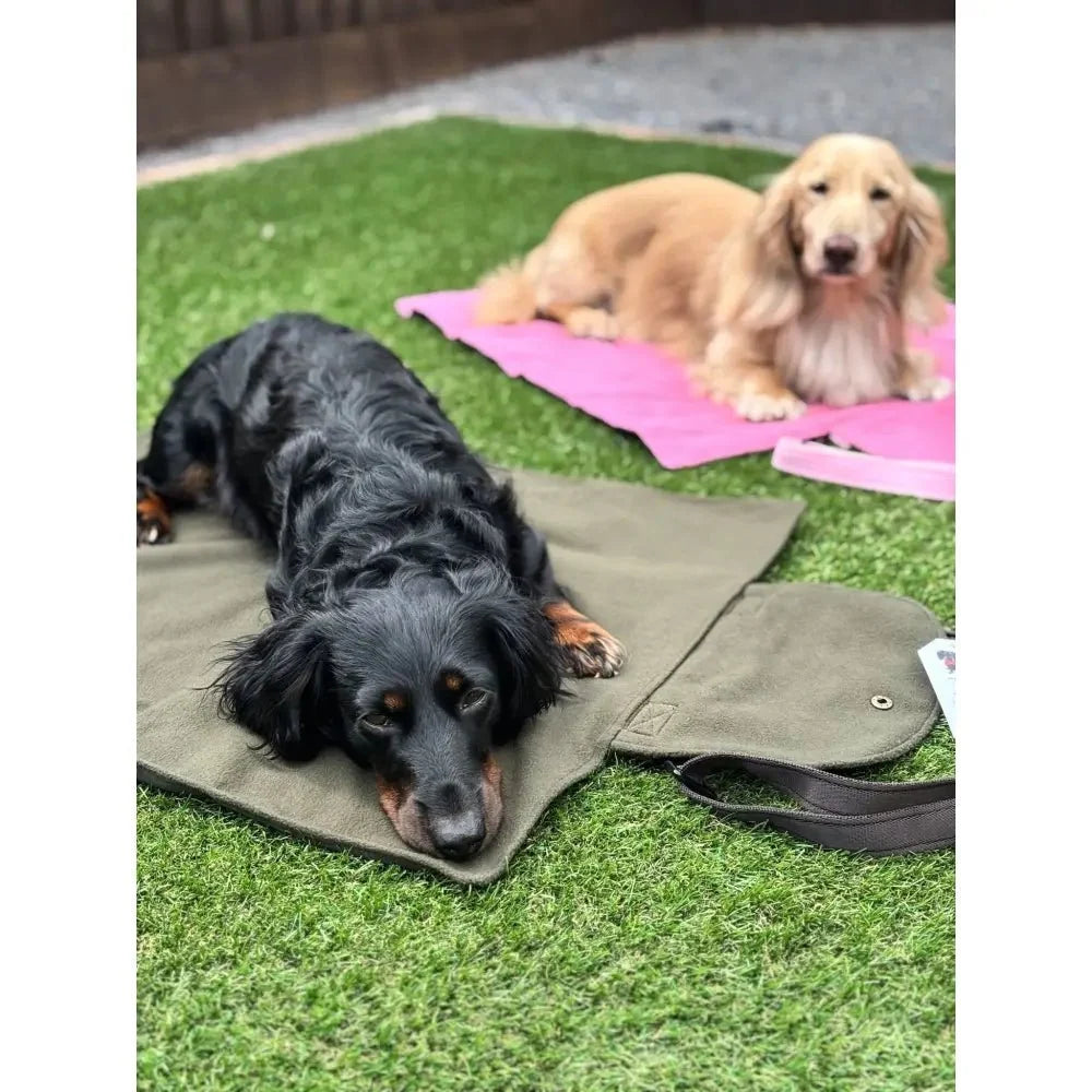 Rainfleece Waterproof Dog Walkies Mat