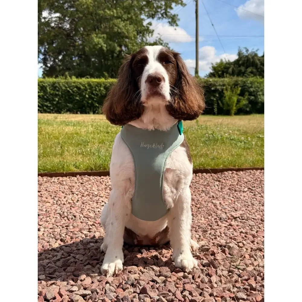 Standard Size Rainfleece Waterproof Step-In Dog Harness - Standard Sizes