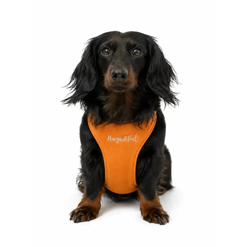 Standard Size Rainfleece Waterproof Step-In Dog Harness - Standard Sizes