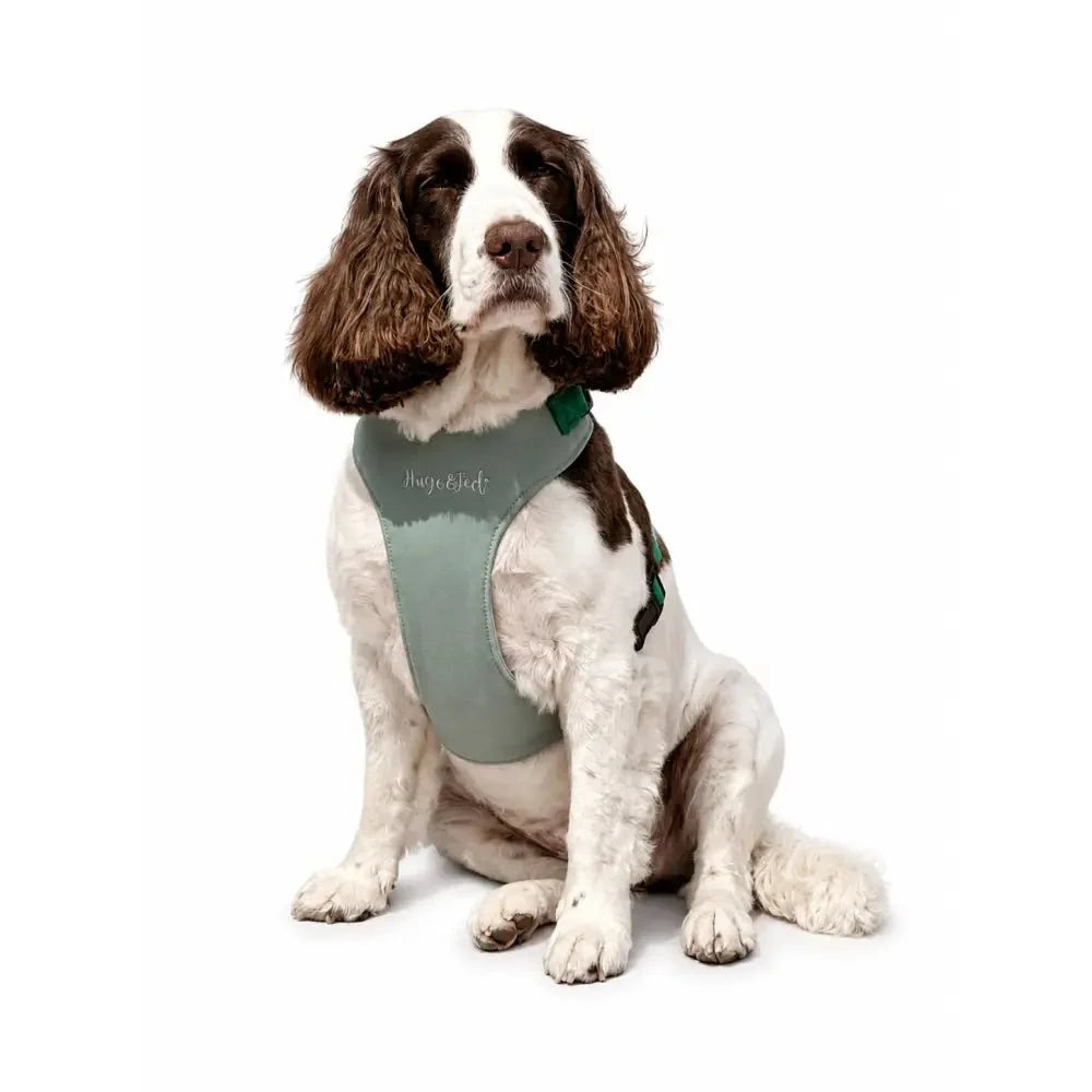 Standard Size Rainfleece Waterproof Step-In Dog Harness - Standard Sizes