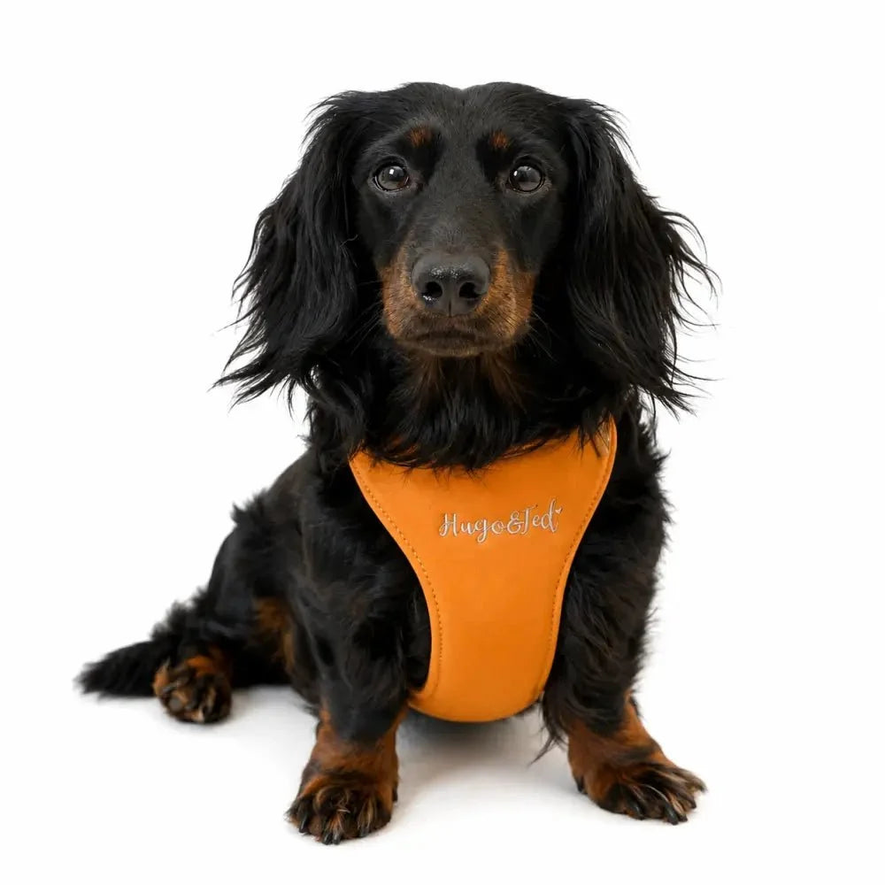Standard Size Rainfleece Waterproof Step-In Dog Harness - Standard Sizes