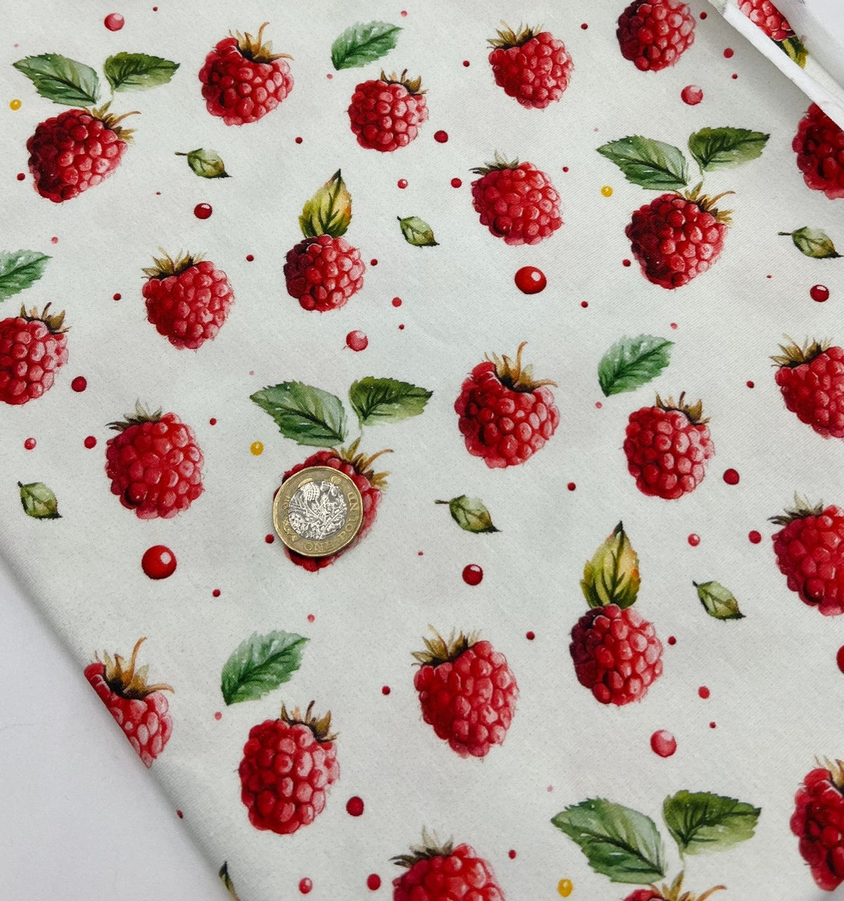 Raspberries Print Cotton Stretch Jersey 200 GSM 95/5 Lycra 4 Way Stretch
