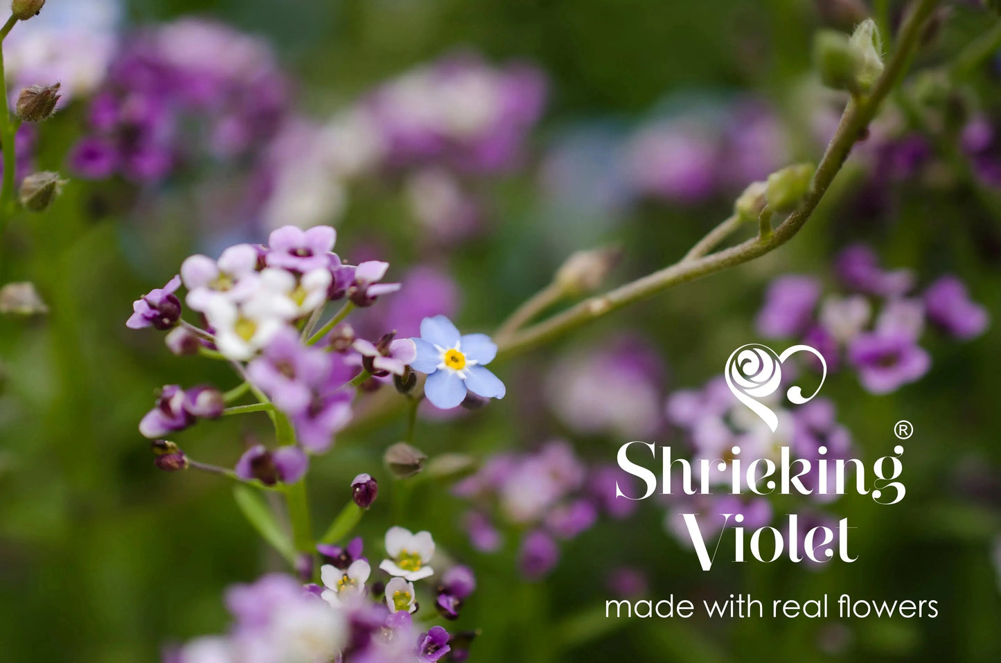 Flower Necklace in sterling silver. Round pendant with real flowers by Shrieking Violet®