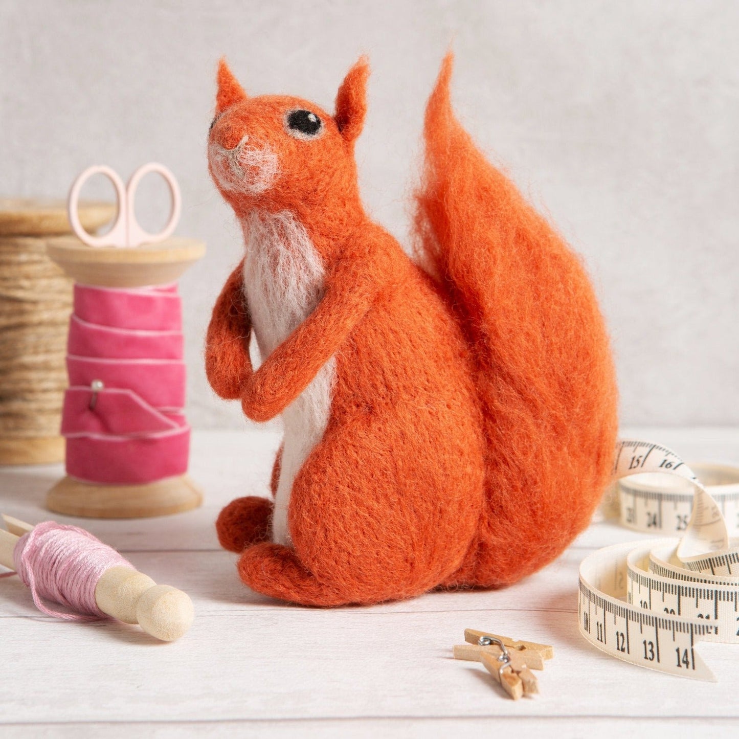 Red Squirrel Needle Felting Kit for Beginners