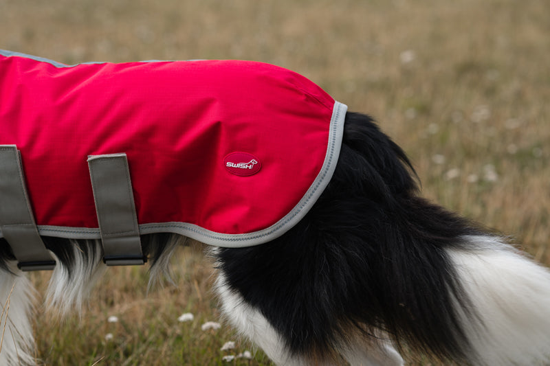 Classic Waterproof Dog Coat 150g - Red