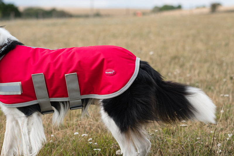 Classic Waterproof Dog Coat 150g - Red