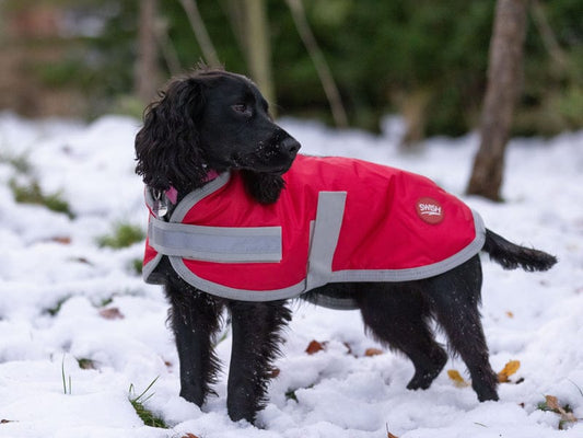 Waterproof Dog Coat - Red