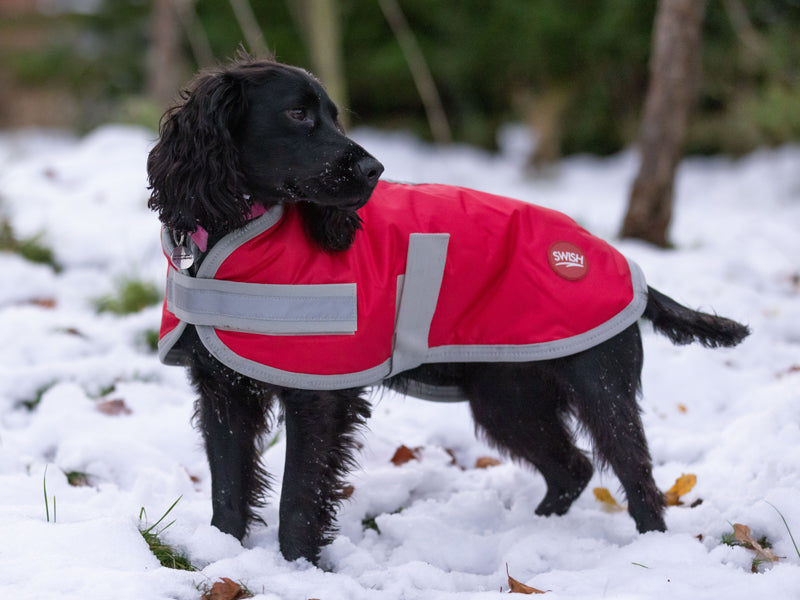 Classic 240g Waterproof Dog Coat - Red