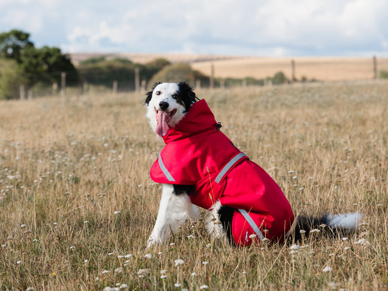 Luxe Waterproof Dog Coat 250g - Red