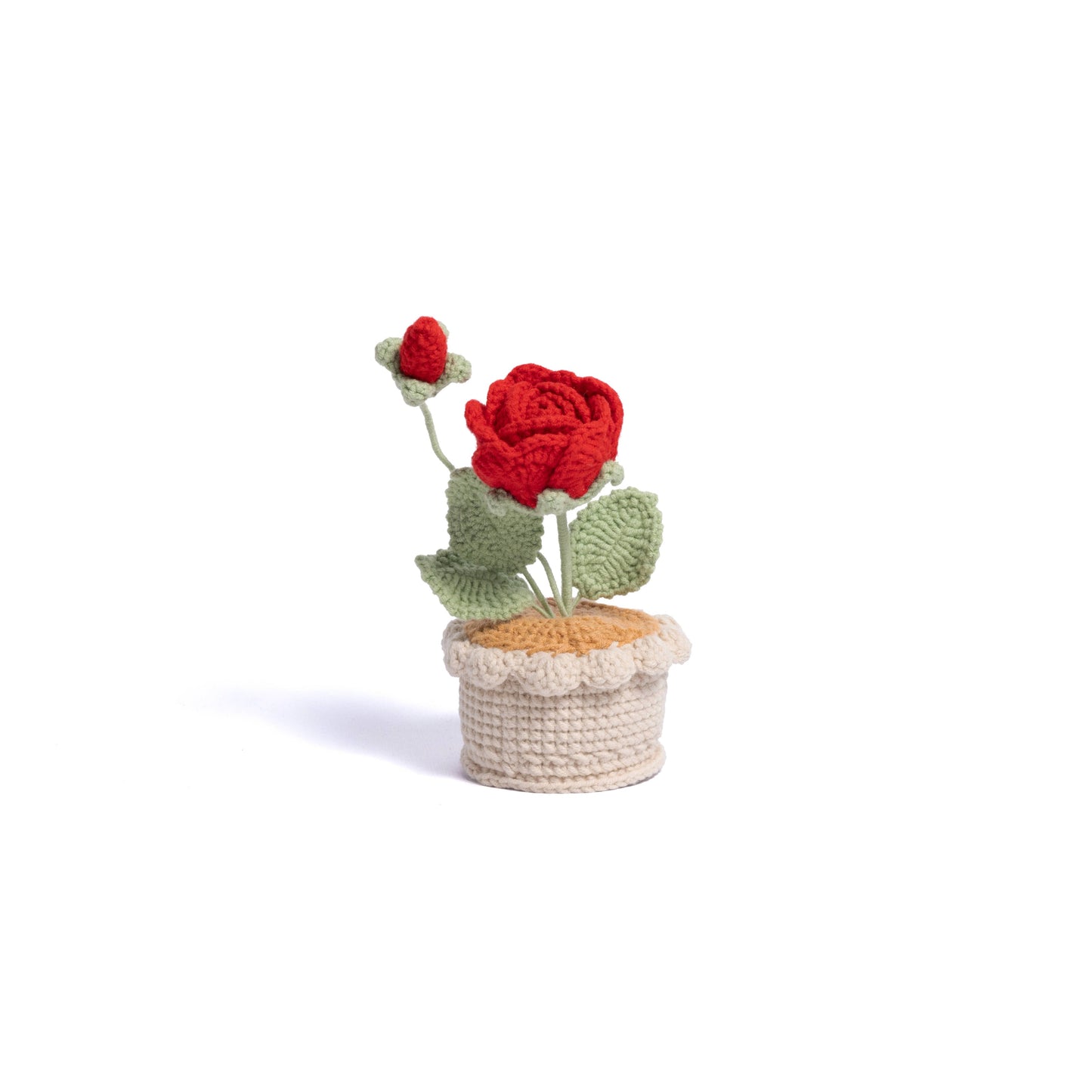 Cozy Heart Roses Table-top Plant