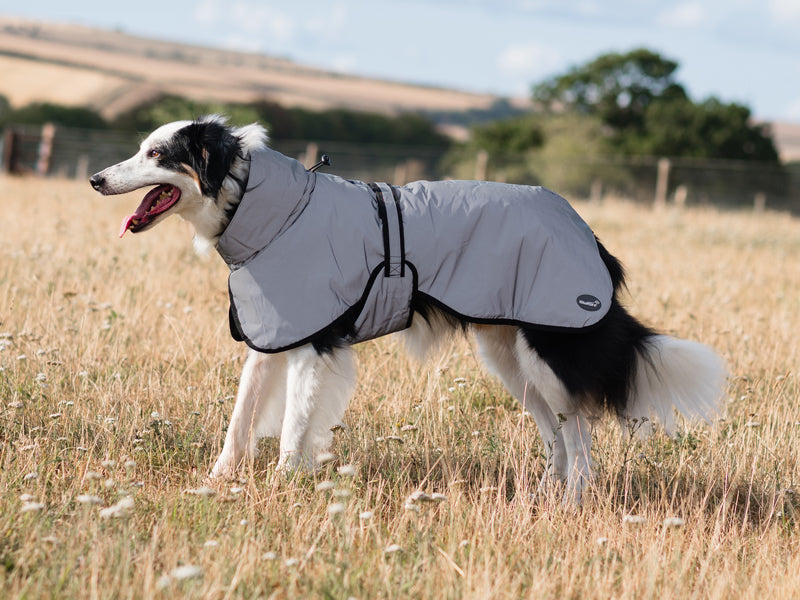 Luxe Waterproof Dog Coat 0g - Reflective Silver