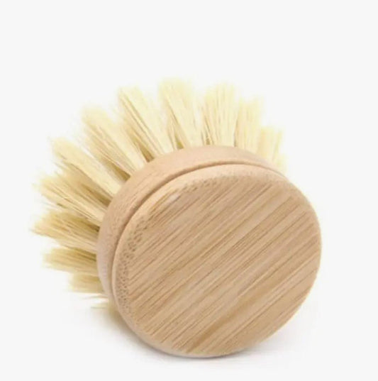 Jungle Culture Plastic Free Dish Brush head Replacement