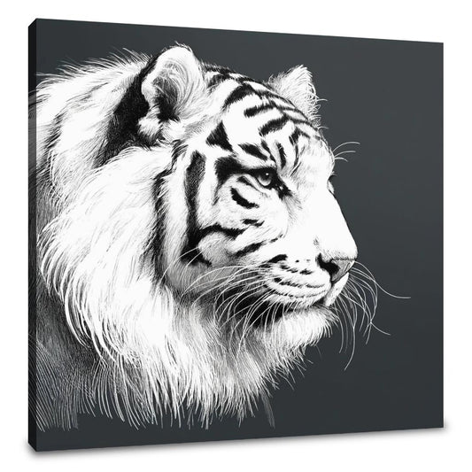 Regal Tiger Canvas