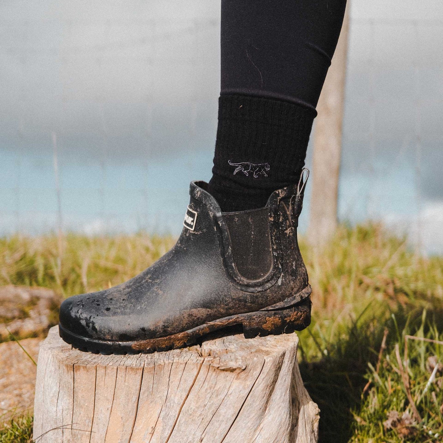 Full Ribbed Bundle 5 Pack Bamboo Sock Set