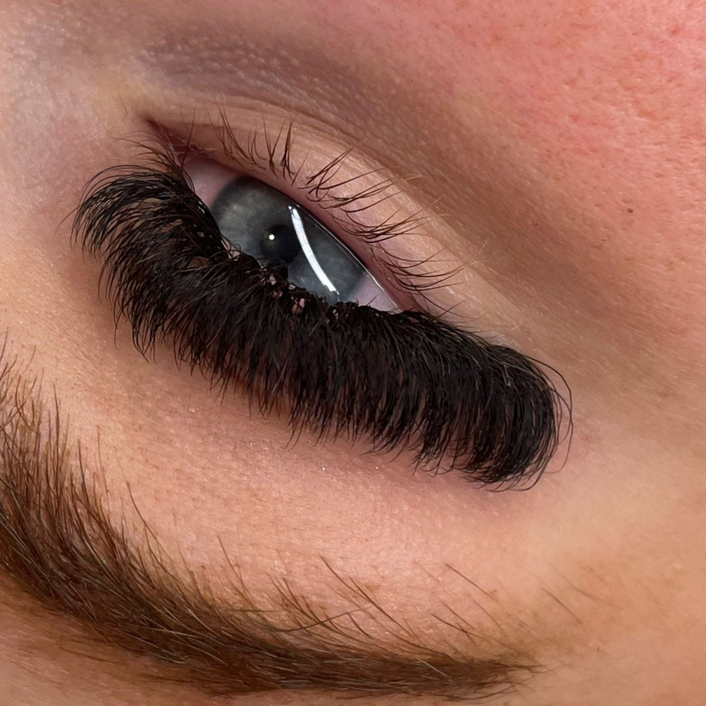 10D Clover Lashes – 16 Row Mixed Tray