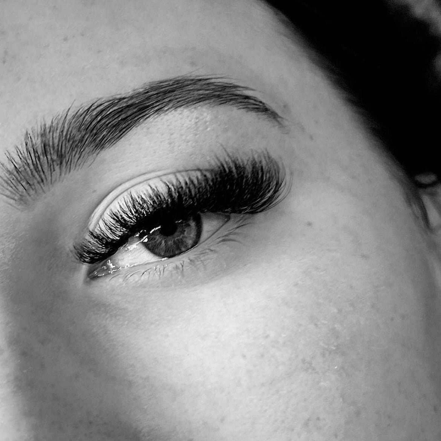 8D Clover Lash Sample Tray – 5 Rows